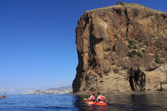 Kayak and Snorkeling Tour in Underwater Nature Reserve Garajau - Snorkeling in the Garajau reserve: what you’re likely to see