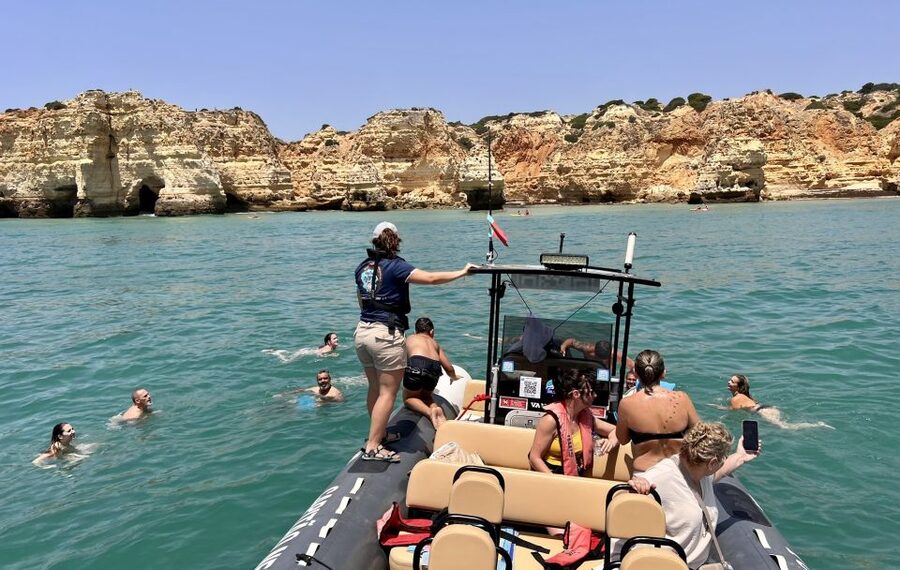 Lagoa: Dolphin Watching & Benagil Tour with Biologist Guide - Other Wildlife Odds: Seabirds, Jellyfish, and What Is Rare