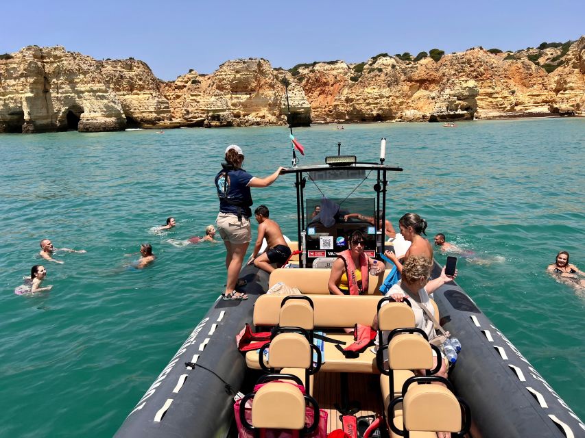 Lagoa: Dolphins Expedition with biologist guide on board - Wild dolphins in the Atlantic, with a biologist guiding your eyes