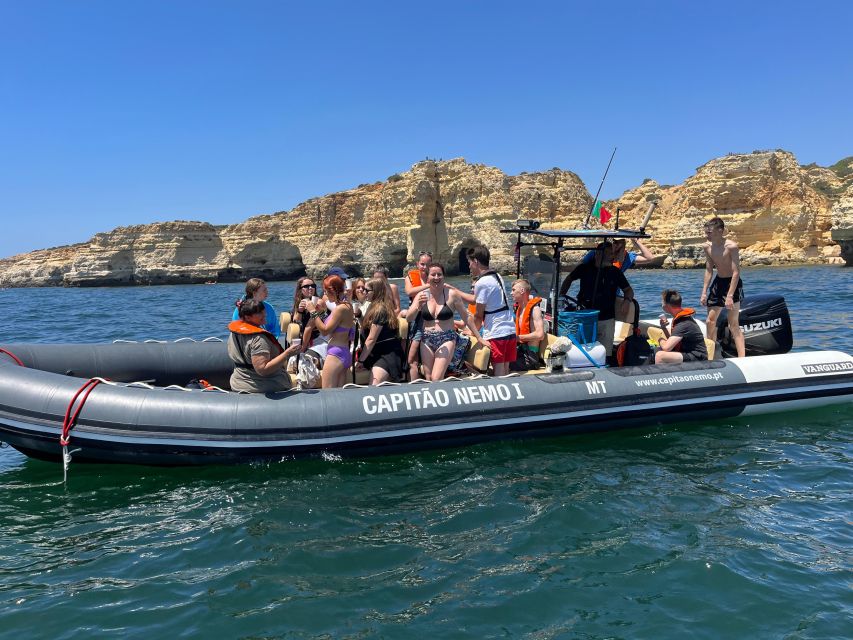 Lagoa: Dolphins Expedition with biologist guide on board - The 2.5 hours of guided time: what you should actually watch for