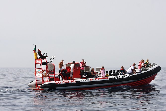 Lagos - Benagil Sea Cave Tour Seafaris - Where to Meet and How the Small Group Changes the Experience