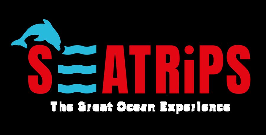 Lagos: Combo Dolphin and Benagil Tour with Marine Biologist - Two Bucket-List Stops: Dolphins and Benagil in One Speedboat Ride