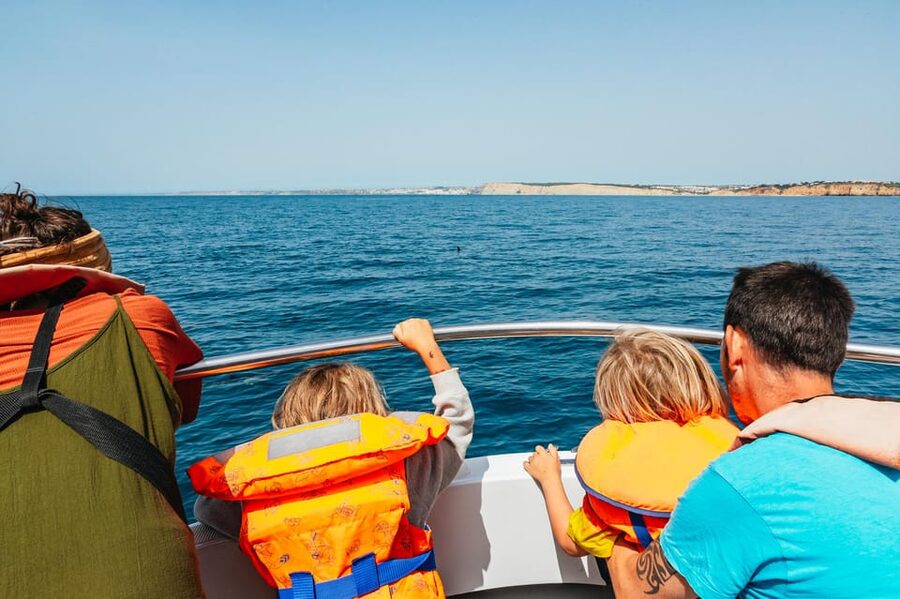 Lagos: Dolphin Watch Tour with Professional Marine Biologist - Key Points That Matter Before You Go