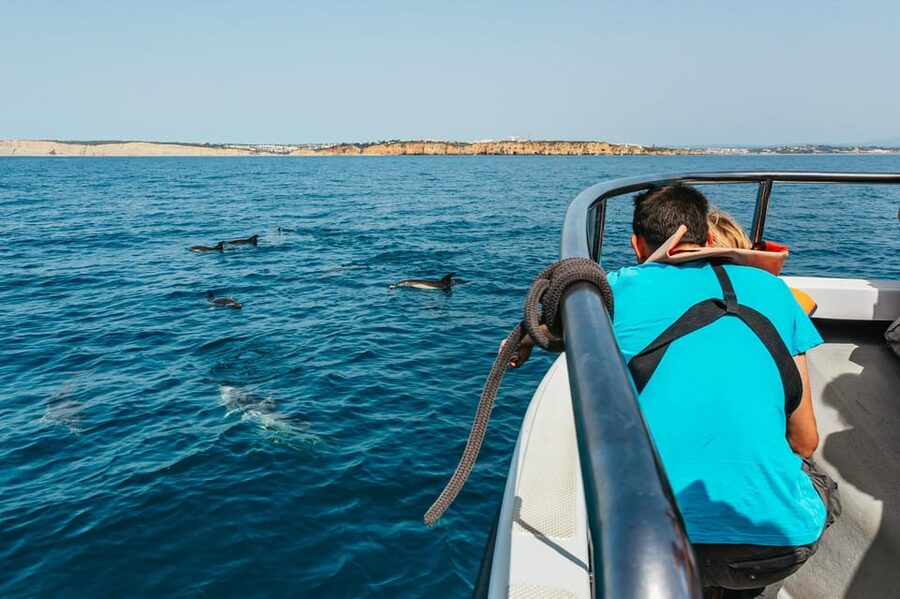 Lagos: Dolphin Watch Tour with Professional Marine Biologist - FAQ