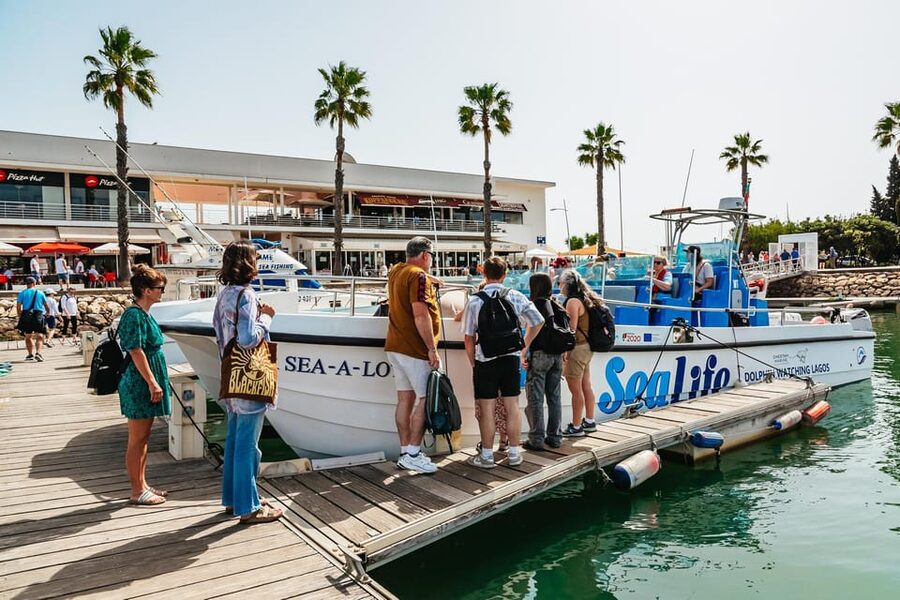 Lagos: Dolphin Watch Tour with Professional Marine Biologist - Price and Value for $42: What You Get for the Money in Lagos