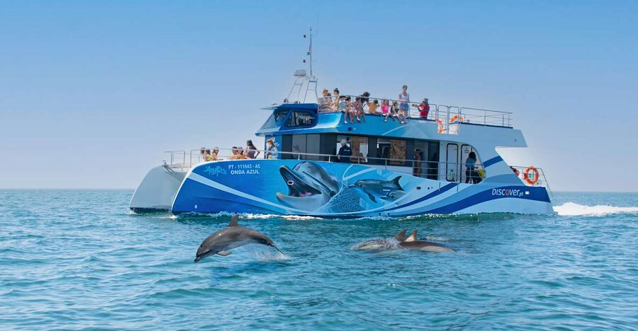 Lagos: Dolphins & Caves - Catamaran - Lagos Dolphins and Caves by Catamaran, 2.5 Hours of Real Algarve