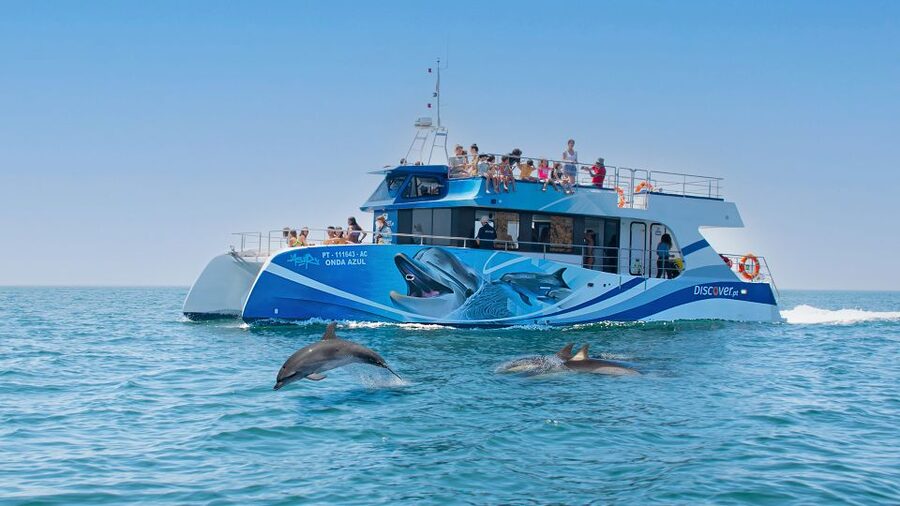 Lagos: Dolphins & Caves - Catamaran - Dolphin Time With a Marine Biologist: What You’ll Actually See