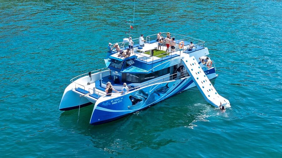 Lagos: Dolphins & Caves - Catamaran - Responsible Viewing: Why the Crew’s Approach Improves Your Odds