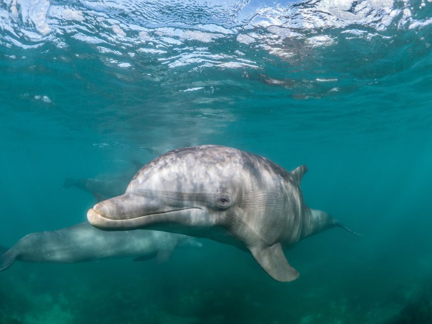 Lagos: Dolphins & Caves - Catamaran - The Included Snack: Small Detail, Big Morale