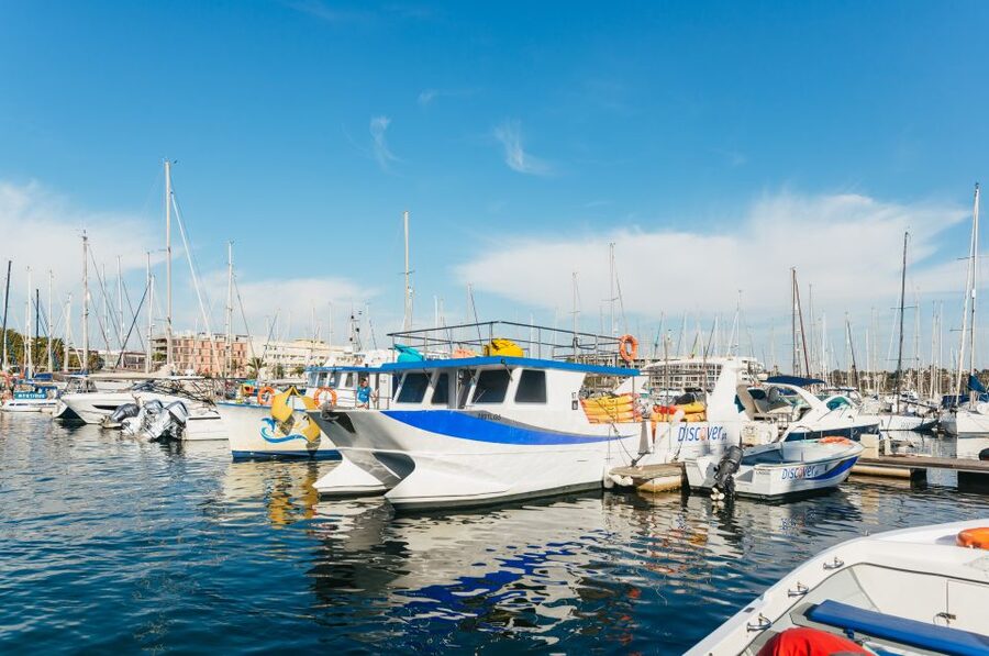 Lagos: Kayak Experience - Should you book this Lagos kayak experience?