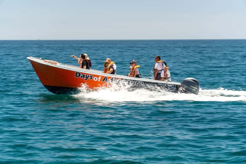 Lagos: Ponta da Piedade Caves Boat Tour - Tips for Phones, Photos, and the Splash Zone