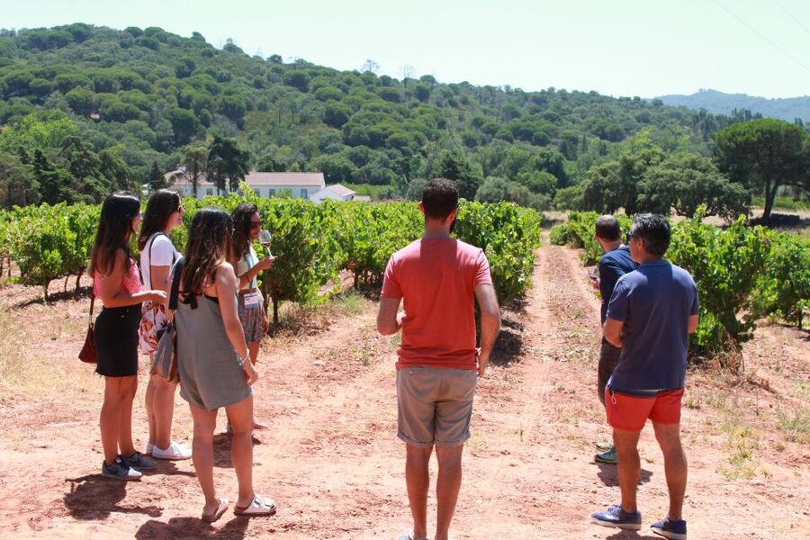 Lisbon: Arrábida and Sesimbra Day Trip with Wine - Why This South of Lisbon Day Trip Works