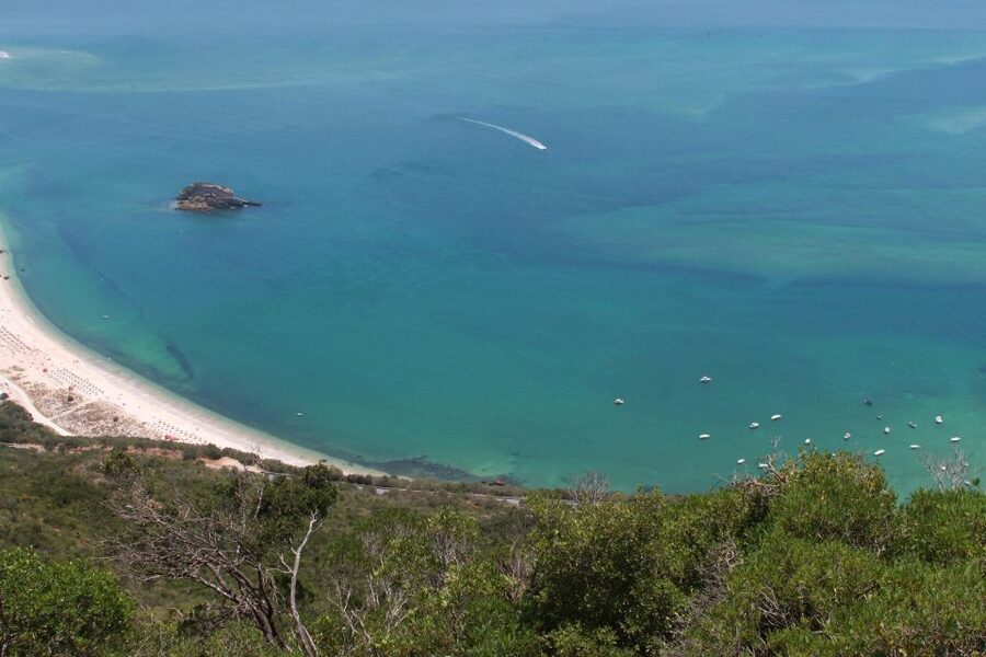 Lisbon: Arrábida and Sesimbra Day Trip with Wine - Price, Pace, and Who This Trip Fits Best