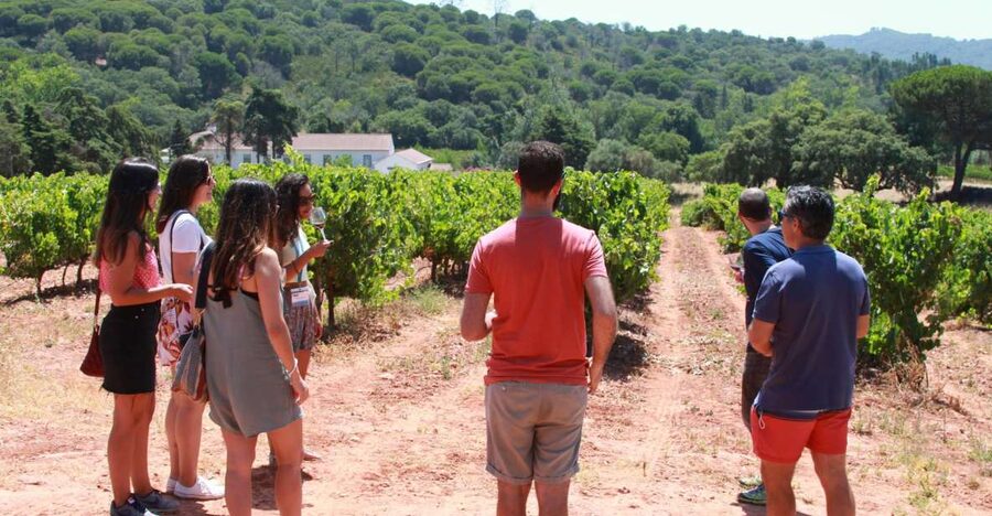 Lisbon: Arrábida and Sesimbra Day Trip with Wine - Getting Past the City: Vasco da Gama Bridge and Van Time