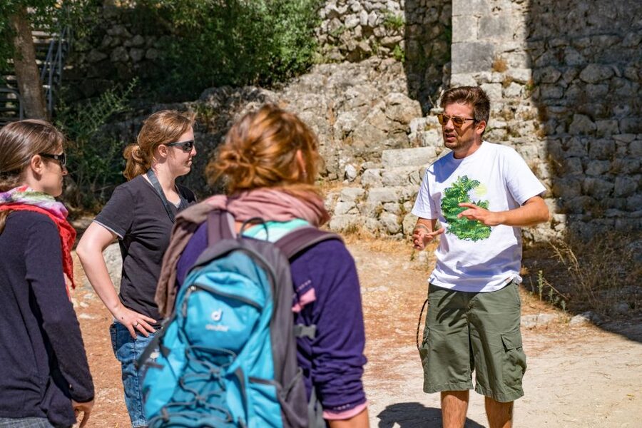 Lisbon: Arrábida Natural Park and Sesimbra Day Trip - Getting your money’s worth: price, time, and what’s included