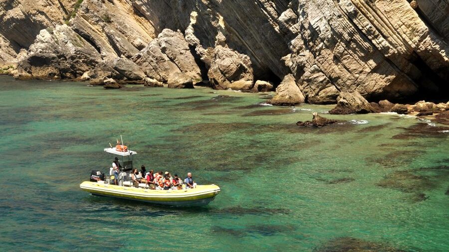 Lisbon: Arrábida Natural Park Dolphin Watching Boat Tour - Guide quality matters: Marta, Mario, and how the best crews set expectations