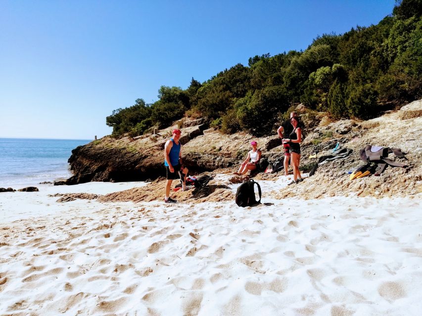 Lisbon: Arrábida Snorkeling Adventure - Key things to know before you go
