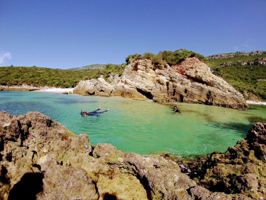 Lisbon: Arrábida Snorkeling Adventure - Practical tips that help you enjoy every minute