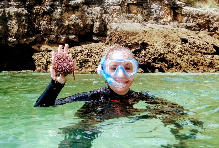 Lisbon: Arrábida Snorkeling Adventure - Mountain walk and fossil cliffs, the on-land part you will remember