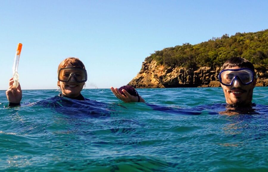 Lisbon: Arrábida Snorkeling Adventure - Who this tour is best for, and who should skip it