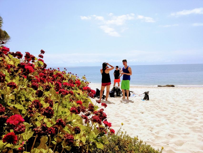 Lisbon: Arrábida Snorkeling Adventure - The weather switch: why your guide’s plan B matters