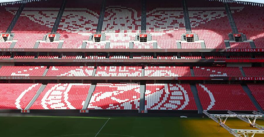 Lisbon: Benfica Luz Stadium Tour with Souvenir Scarf - Souvenir scarf and the store reality check