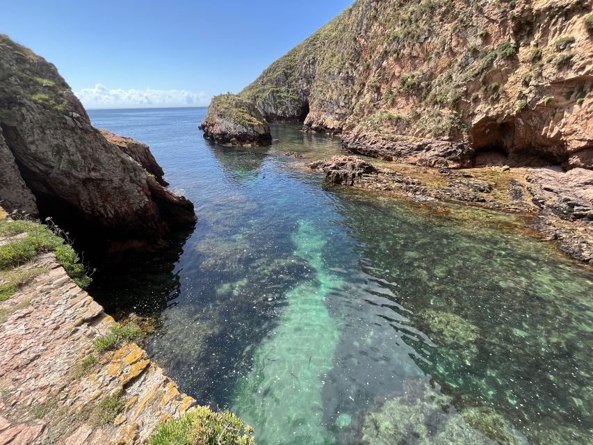 Lisbon: Berlenga Islands, Peniche & Óbidos Tour - Key highlights worth getting excited about