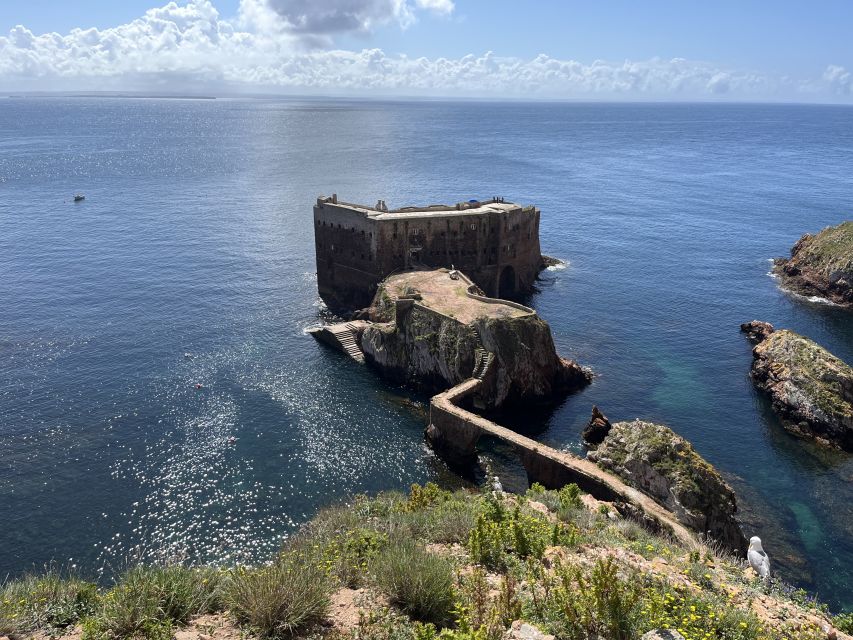 Lisbon: Berlenga Islands, Peniche & Óbidos Tour - Getting Back to Peniche: Lunch Break With Coastal Energy