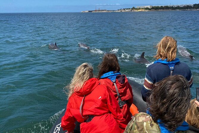 Lisbon: Dolphin Watching with Marine Biologist - Small Group - The boat ride reality check: speedboat fun, wind exposure, and motion tips