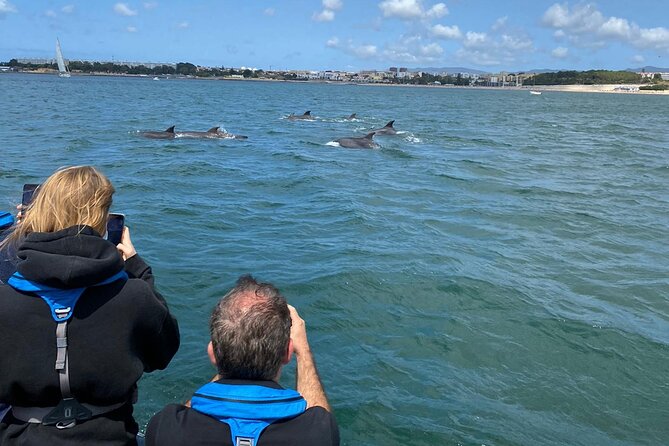 Lisbon: Dolphin Watching with Marine Biologist - Small Group - On-water science: what the marine biologist teaches you in real time