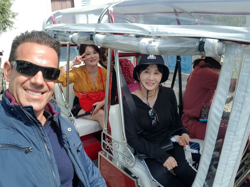 Lisbon: Electric Tuk Tuk Private Tour of the Seven Hills - Churches, tiles, and miradouros: Portas do Sol to Santa Luzia