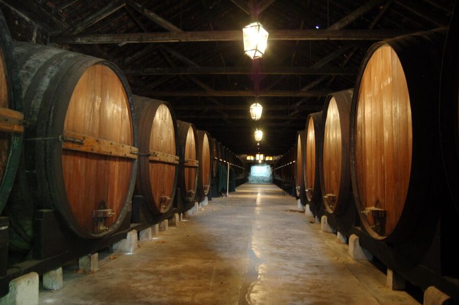 Lisbon Getaway: Private Arrábida Wine & Food Tour - Price and value: what you get for $222 per person