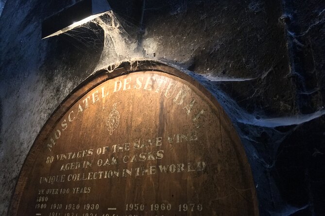 Lisbon Getaway: Private Arrábida Wine & Food Tour - José Maria da Fonseca: museum stop and guided tasting focus