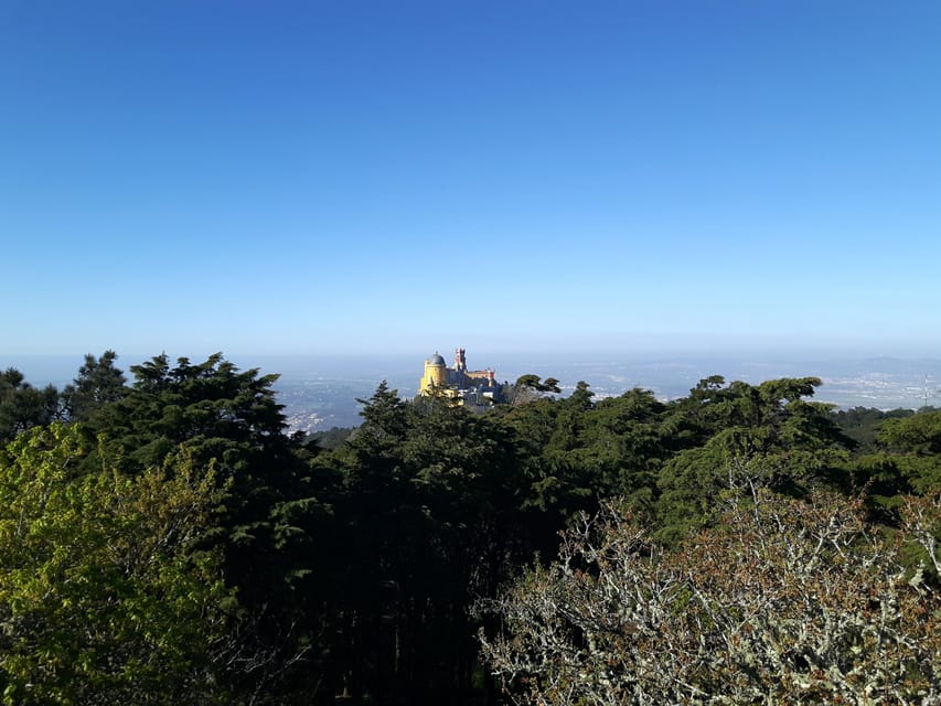 Lisbon: Half-Day Sintra Tour with Pena Palace and Regaleira - Should you book this Sintra half-day tour?