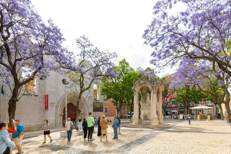 Lisbon: History, Stories and Lifestyle Walking Tour - Carmo Convent and Church: Gothic architecture with a 1974 turning point