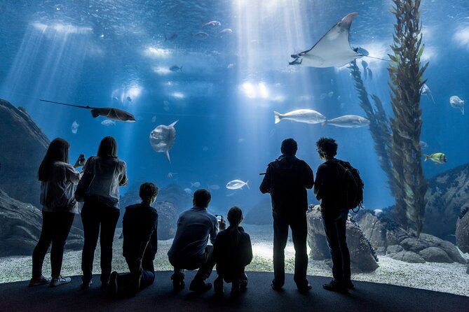 Lisbon Oceanario: Aquarium Entrance Ticket - Key highlights before you go