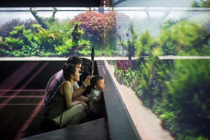 Lisbon Oceanario: Aquarium Entrance Ticket - Food, breaks, and where to pause without losing momentum
