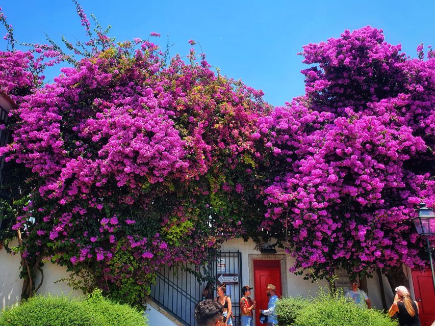 Lisbon: Old Town TukTuk Tour and Scenic Viewpoints in Alfama - Senhora do Monte and Santa Engracia: the photo stop that usually steals the show