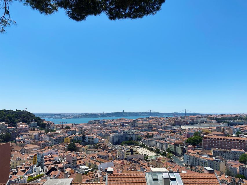 Lisbon: Private City Sightseeing Tour by Tuk-Tuk - Rua Augusta Arch, Pink Street, and Time Out Market Finishing Energy