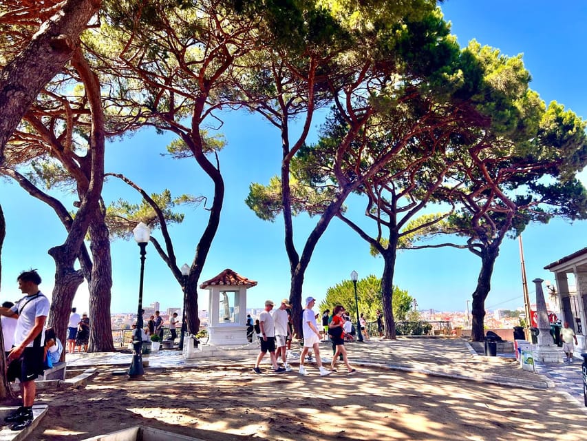 Lisbon: Private Tuk Tuk Tour with Polaroid Photos - The Route, Stop by Stop, and What to Watch For