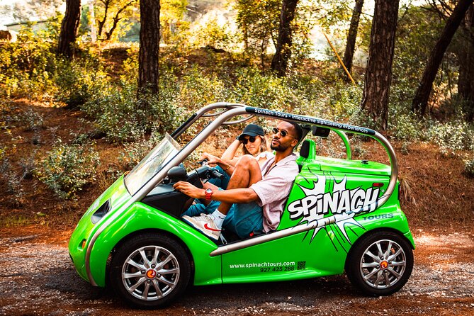 Lisbon Self-Drive Sightseeing Tour in an Electric Car - 1-hour Old Lisbon loops through Alfama or Chiado and Príncipe Real