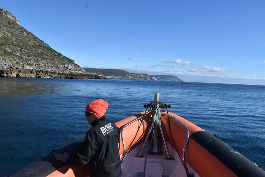 Lisbon: Sesimbra Kayak Discovery Experience - Is $41 per person good value for this kayak experience?