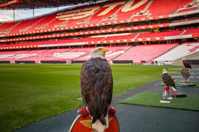 Lisbon SL Benfica Stadium & Museum Tour with Scarf - How Long You’ll Need, and How to Keep It Relaxed