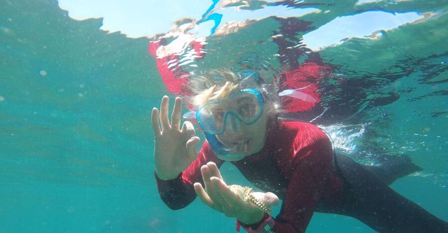 Lisbon: Snorkelling in Sesimbra/Arrábida Natural Park - Key highlights you will actually care about
