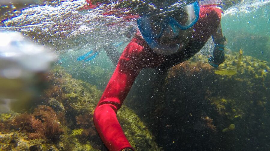Lisbon: Snorkelling in Sesimbra/Arrábida Natural Park - Should you book this Sesimbra and Arrábida snorkel?