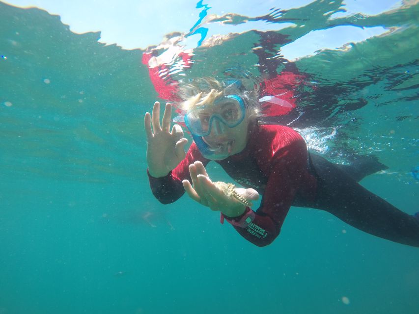 Lisbon: Snorkelling in Sesimbra/Arrábida Natural Park - Why this snorkel works so well off Sesimbra and Arrábida