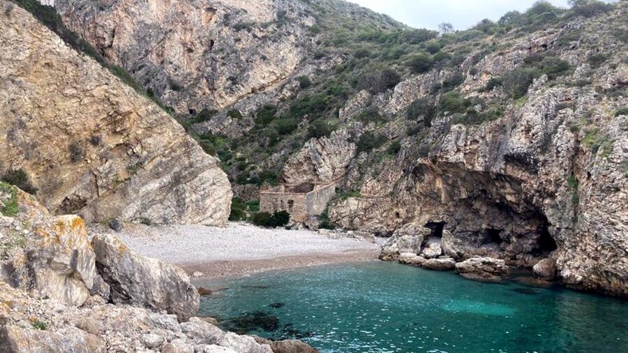 Lisbon: Snorkelling in Sesimbra/Arrábida Natural Park - What you will likely see under the surface