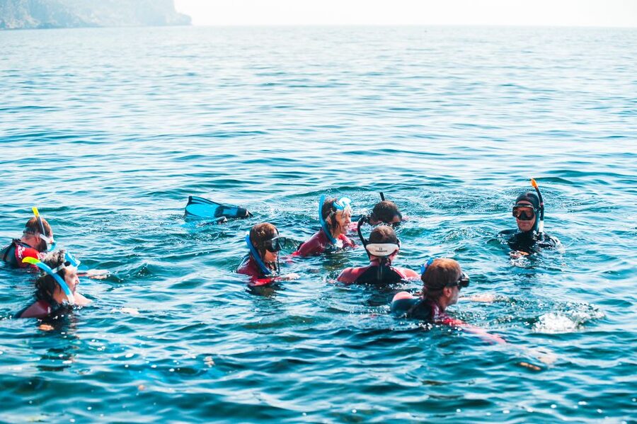 Lisbon: Snorkelling in Sesimbra/Arrábida Natural Park - Guides like Leonor, Marta, and Francisco, and what that means for you