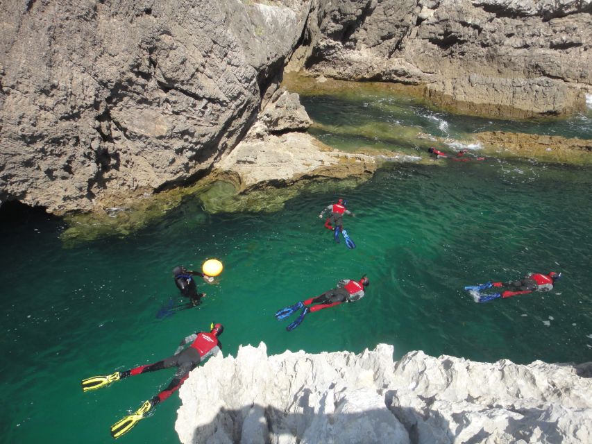 Lisbon: Snorkelling in Sesimbra/Arrábida Natural Park - Who should book this snorkel in Sesimbra