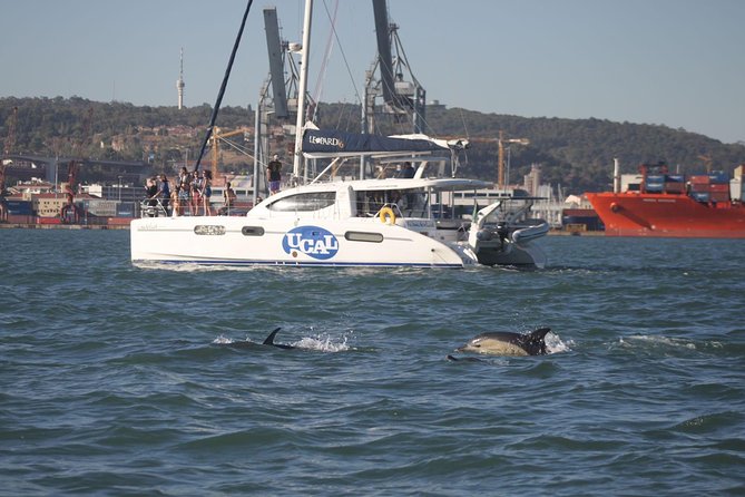 Lisbon: Sunset Cruise With Drinks on Spacious Yacht - Who Should Book This Tagus Sunset Yacht Cruise